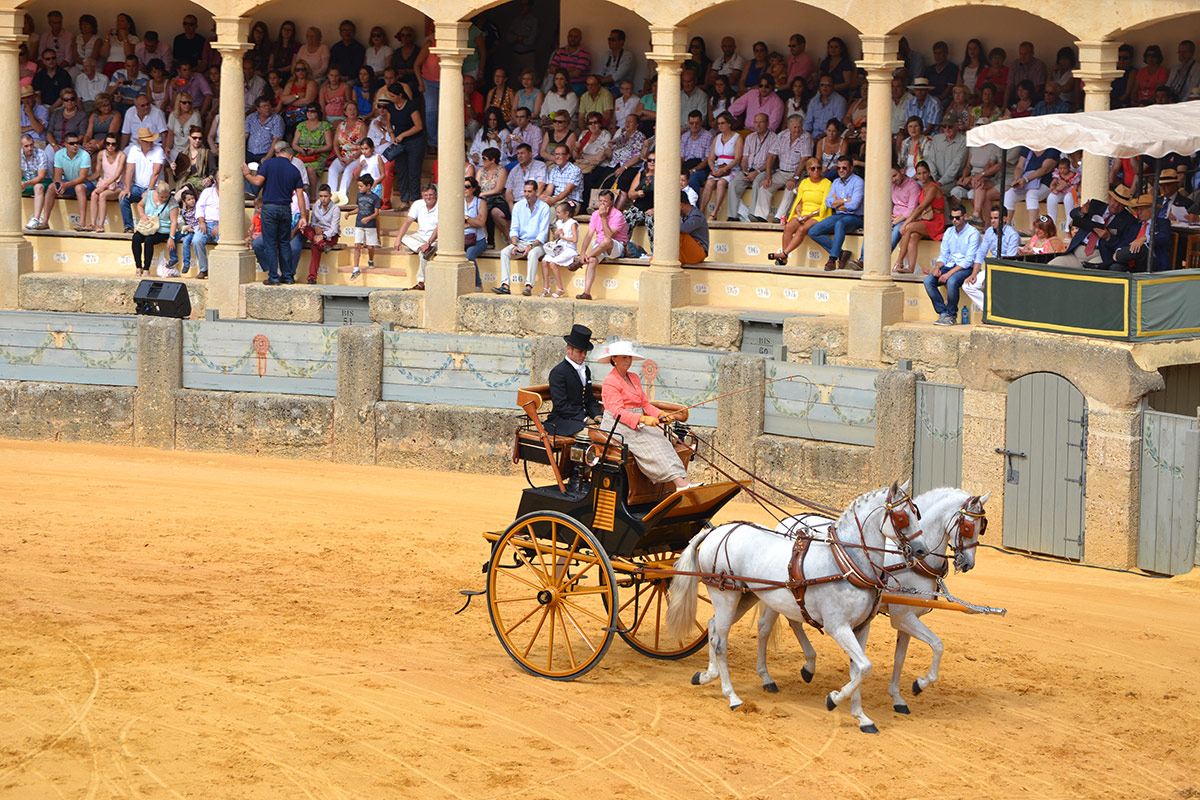 XXXVIII Concurso de Exhibición de Enganches de Ronda
