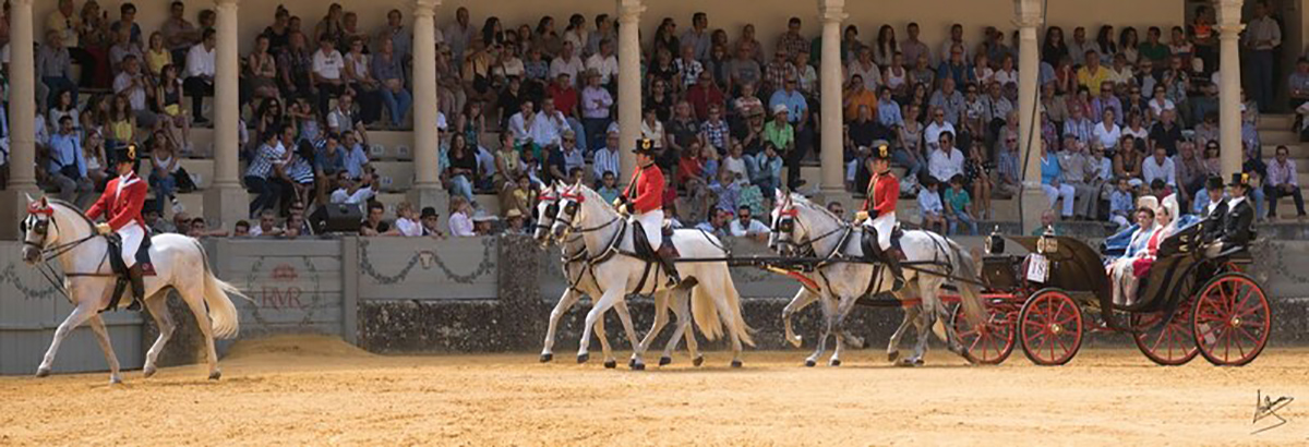 Gran Duque Victoria Real Maestranza de Ronda