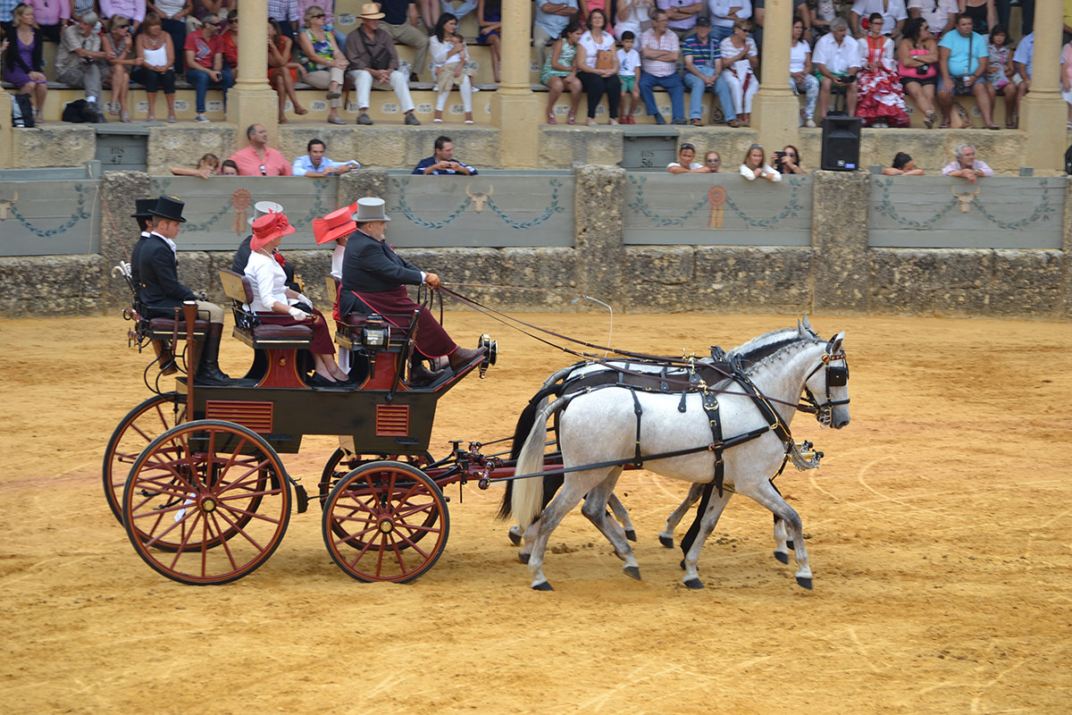 XXXVIII Concurso de Exhibición de Enganches de Ronda